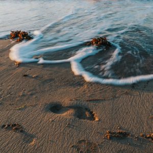 lindart_1200_060
